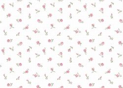 Papel pintado infantil 455_2 PIPPO